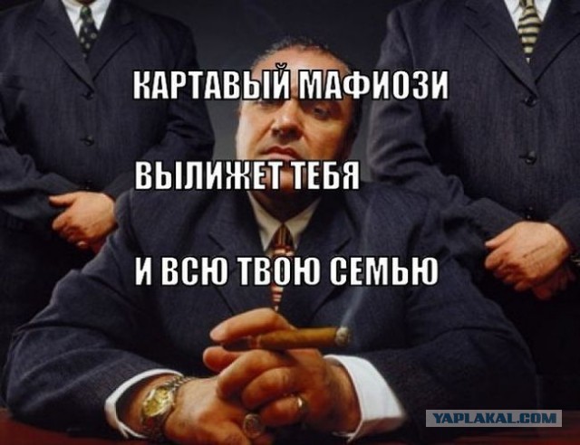 Подборка весёлых картинок