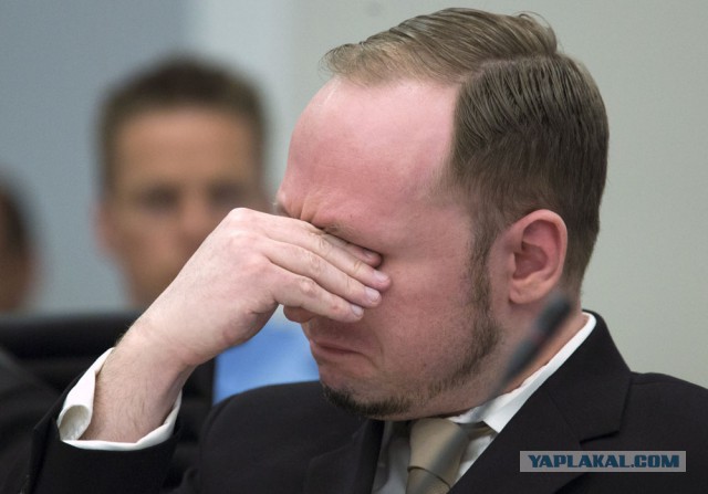 Свидетель убийства ученого