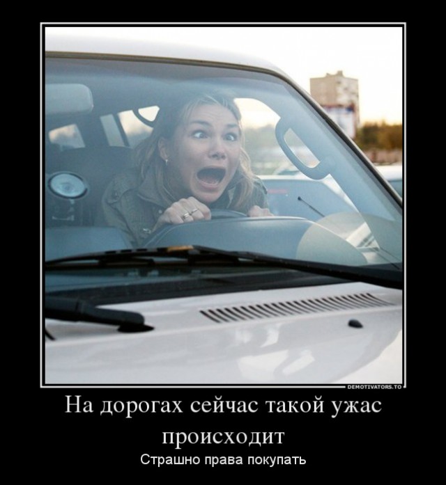 Весёлые картинки