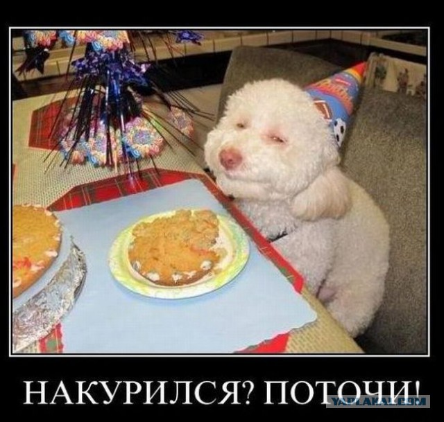 Картинки