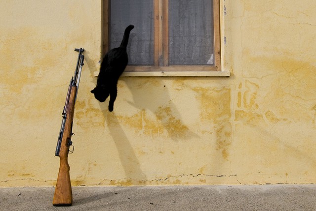 Албанская вендетта