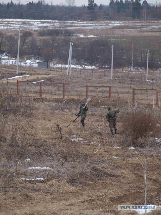 Вчерашние покопульки