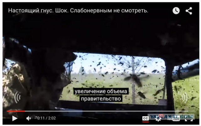 Васюганье. Сибирский гнус