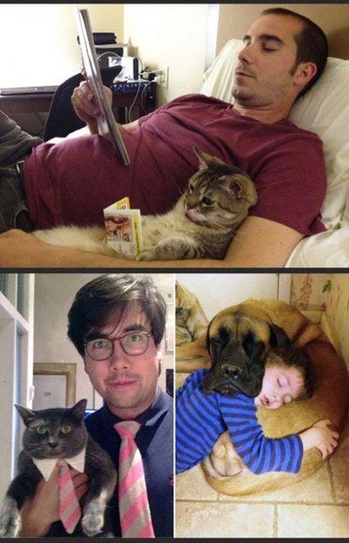 Весь в хозяина