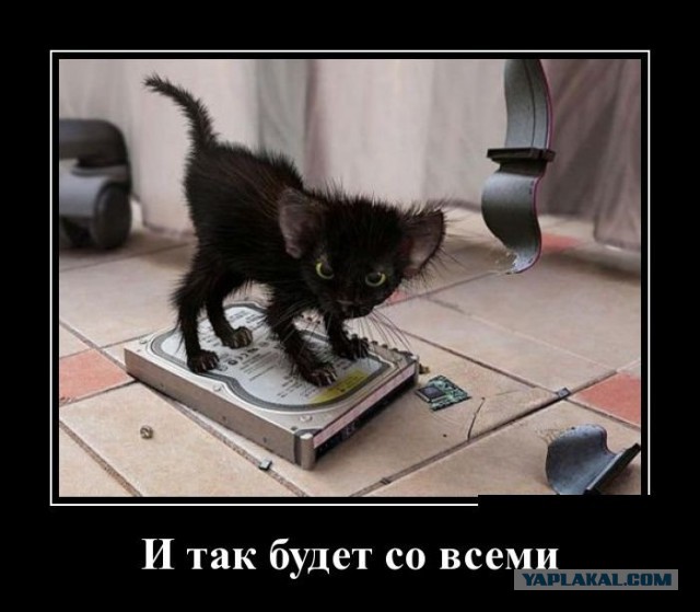 IT-Картинки