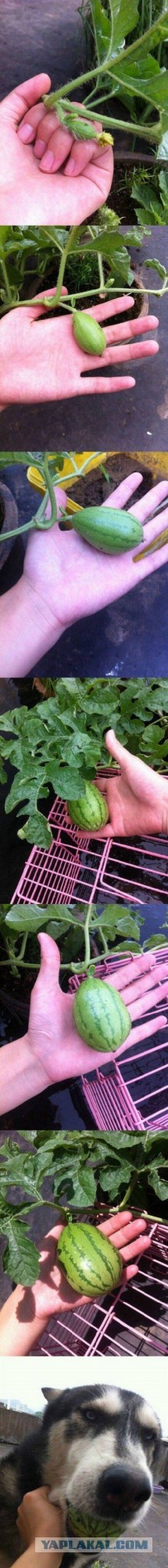 Неприятности разные, подборка. ч.2