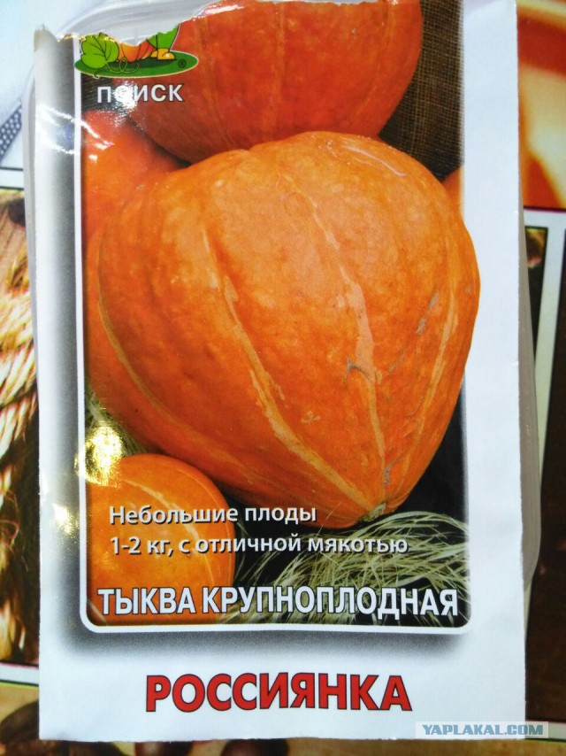Фотоподборка на пятницу