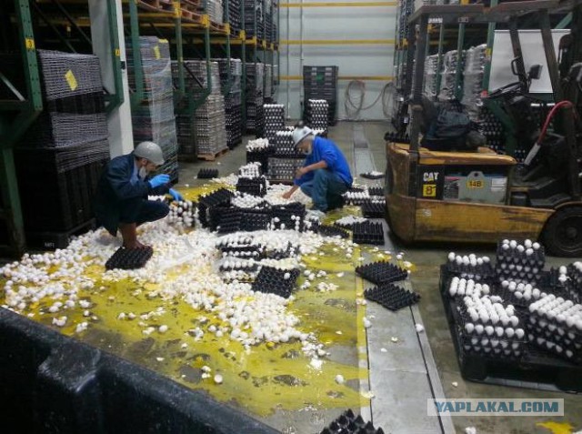 Да что ты знаешь о неудачах...