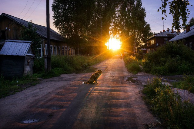Подборка "тёплых, уютных, домашних" фотографий. Часть 3