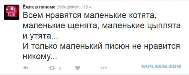 Смешные комментарии 26.06.2016