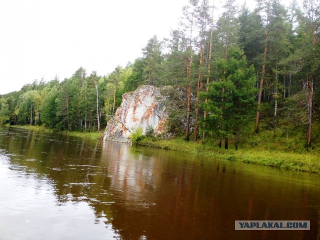 Река Сосьва, деревня Старая Сама, Денежкино, Северный Урал