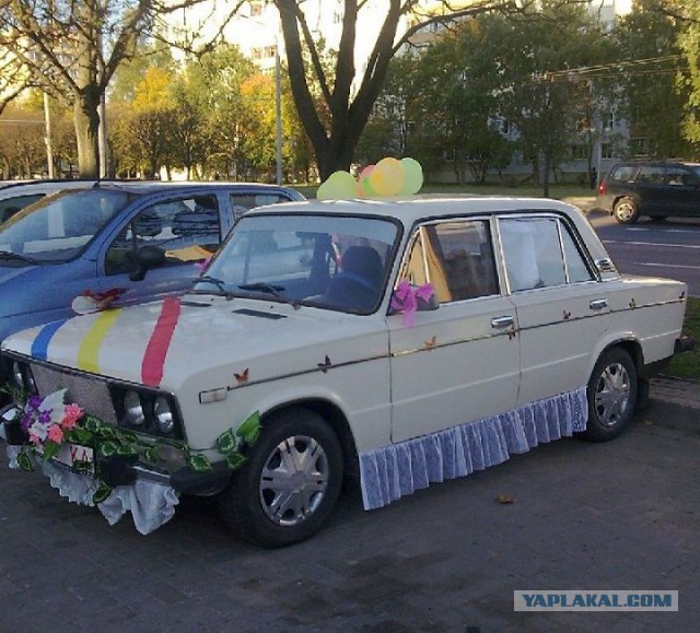 Курьезные и просто красивые фото