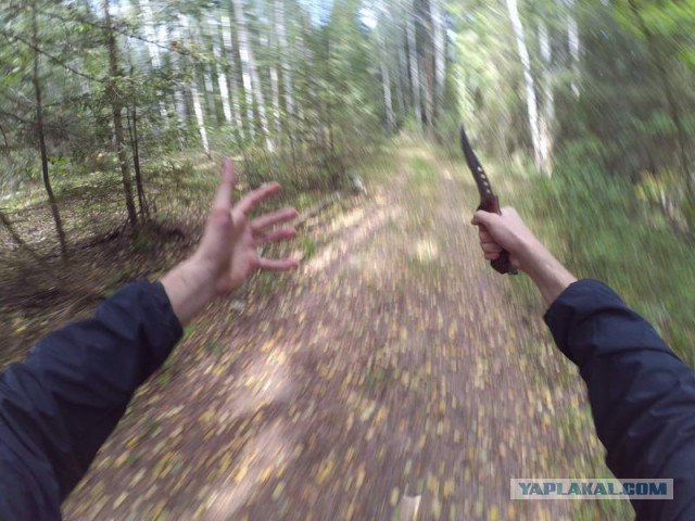 Прогулка по лесу с ножом, фотоаппаратом и ведром.