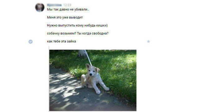 Живодерки из Хабаровска