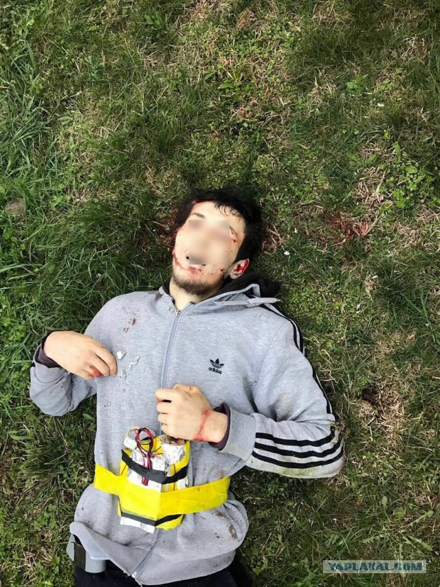 Шесть боевиков ликвидированы при нападении на полк Росгвардии в Чечне