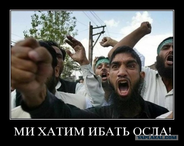 Немцы будут питаться объедками, от которых откажутся "беженцы"