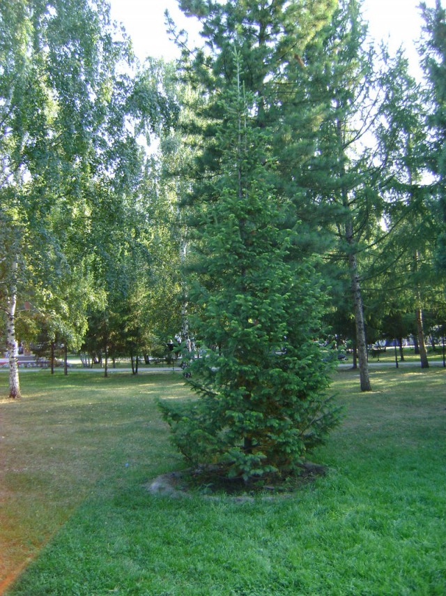 Новосибирск