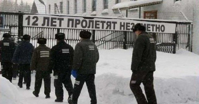 Скотсети и прочие интернеты 13.11.17