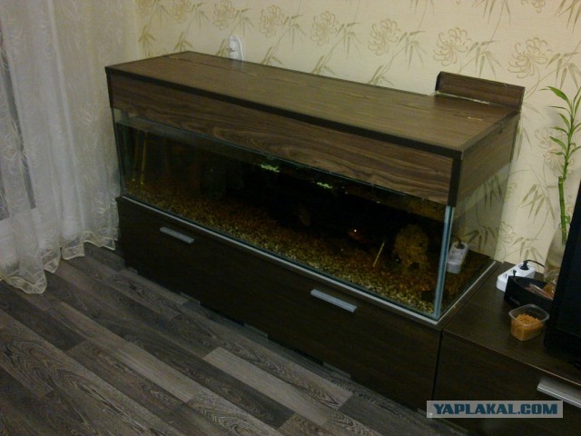 Операция "Крышка"