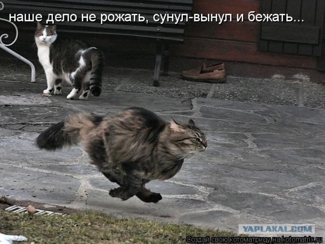 Приравнять сожительство к браку не прочь около 40% россиян