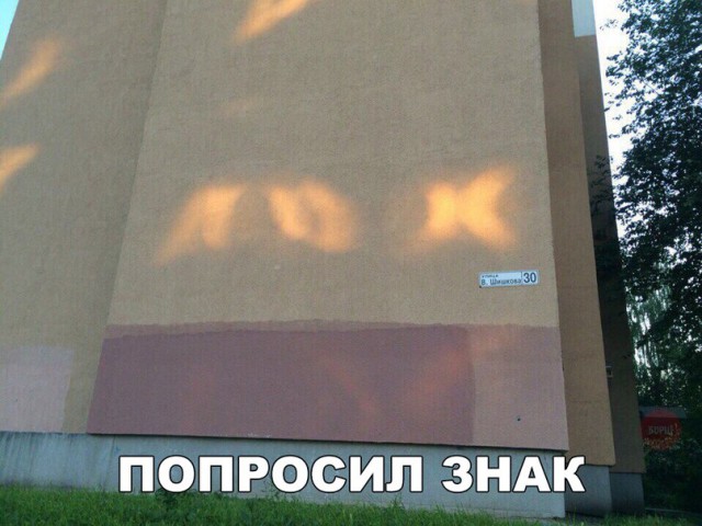 Немного веселых картинок к среде