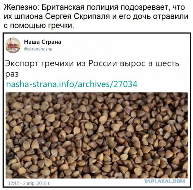 Картинка дня