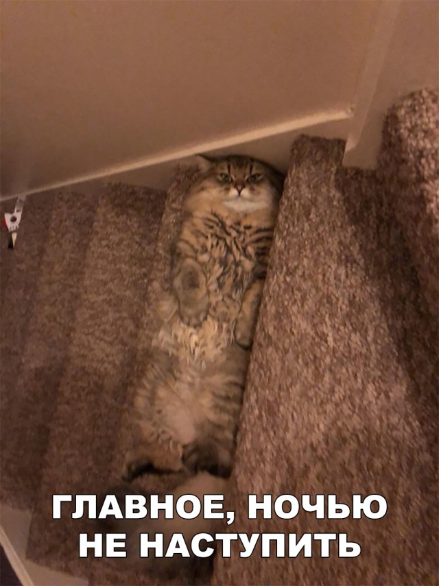 Немного милоты
