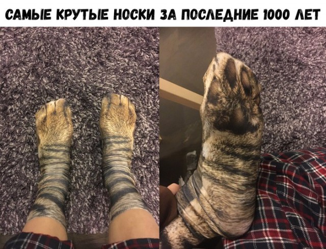 Нестандартный юмор
