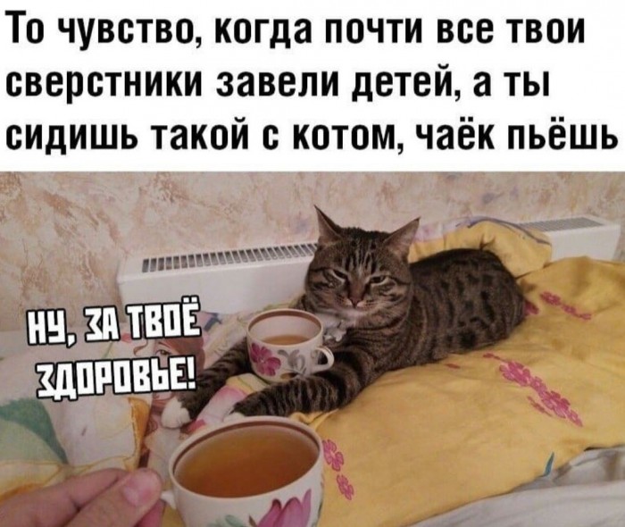 Картинки с текстами