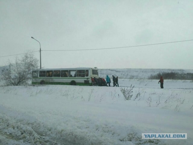 Вот это я понимаю, это действительно комфортабельный автобус!