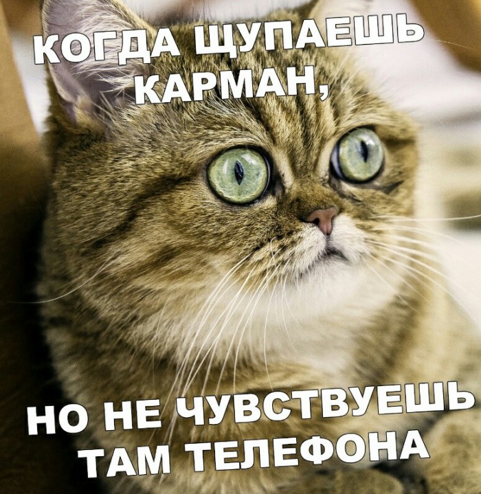 «Картинки разные нужны, картинки разные важны»