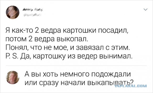 Картинки и шутки юмора с просторов необъятного