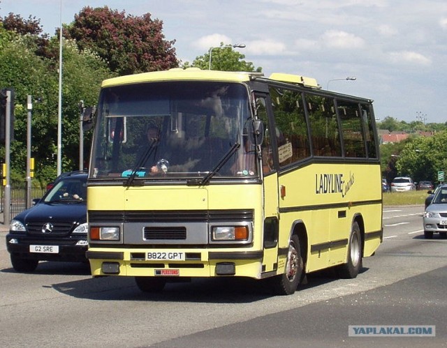 Игра на ЯПе: Угадай АВТО-5