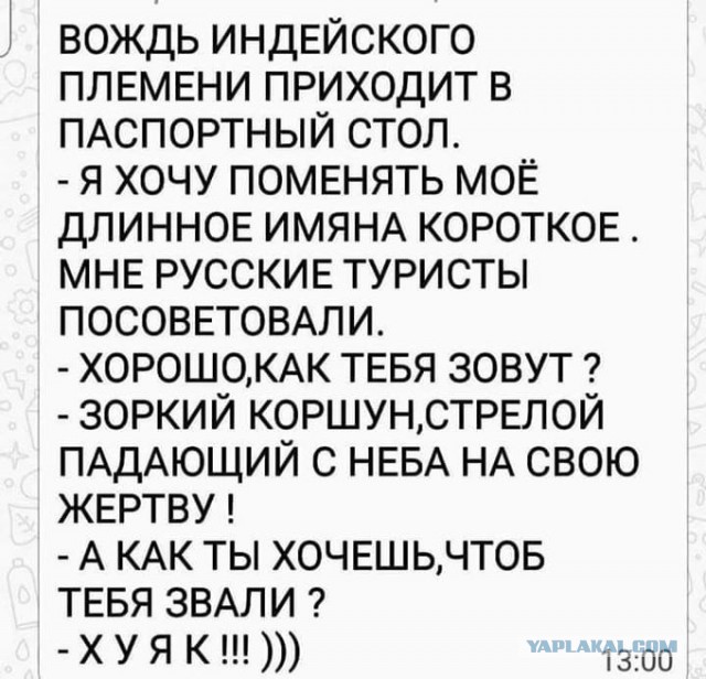 Чуток картинок 02.11.19