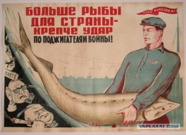 Давно забытое. Черная икра