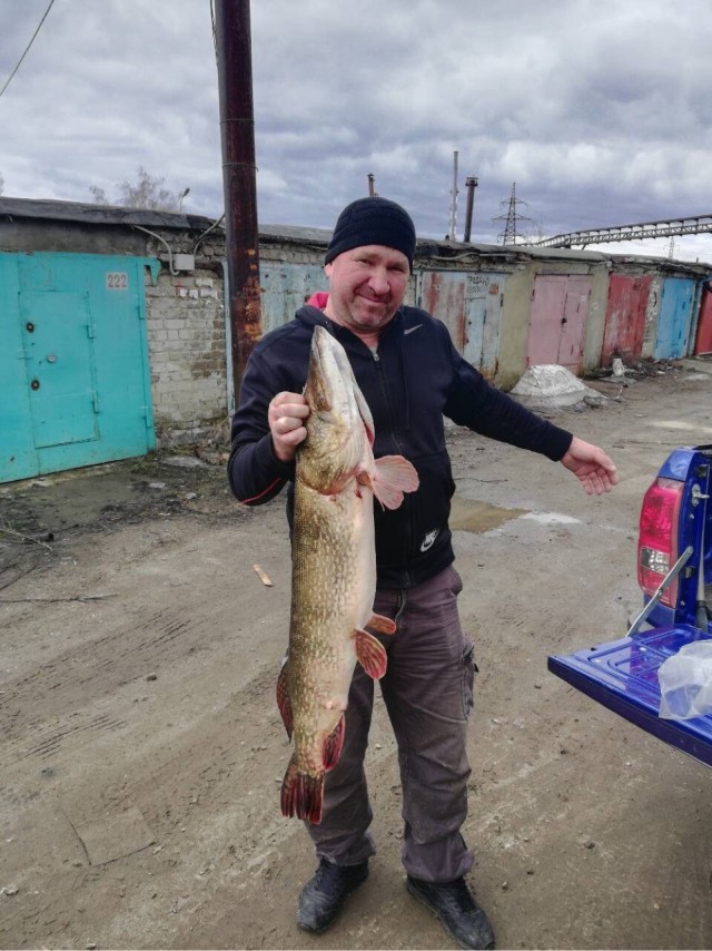 Вот рыба