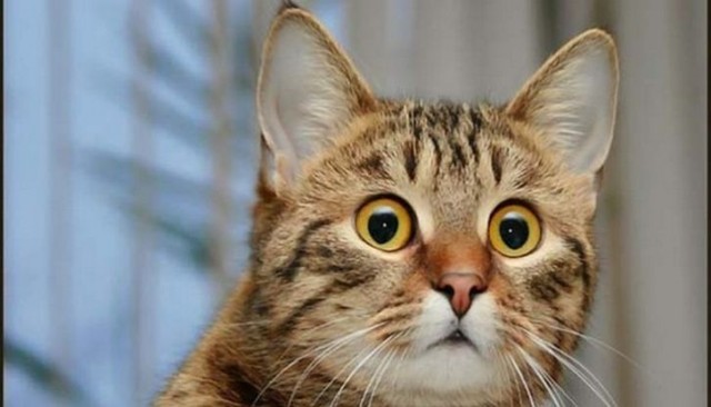 blondex. Rumer. par9. страницы блокнота