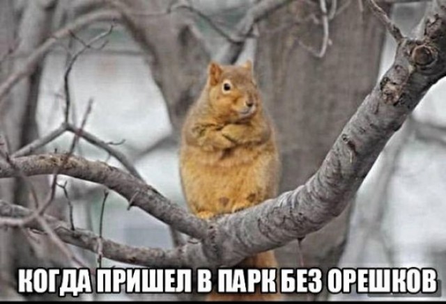 Бредзона 08.04.2020