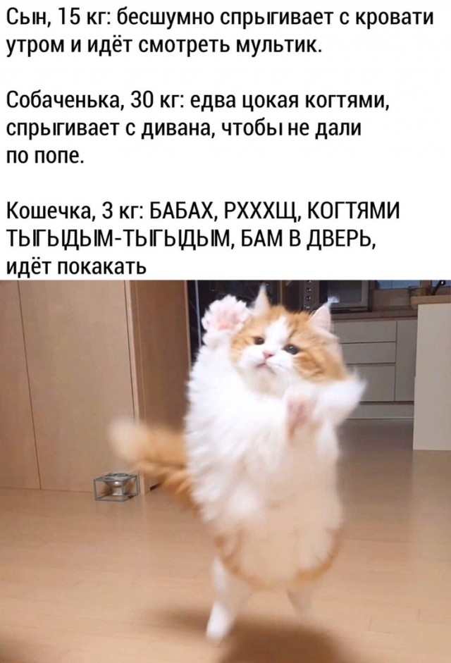 Чуток картинок 13.04.20