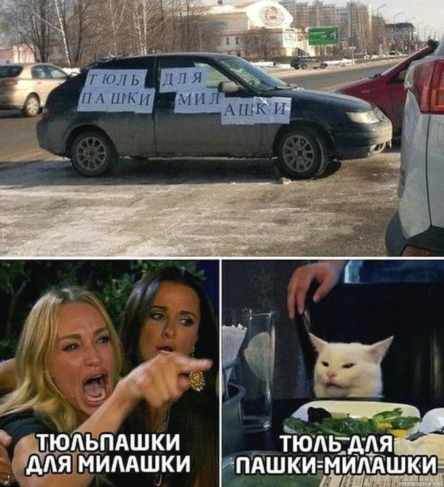 Португальский художник Жоао Роха доказал, что все люди на планете делятся на два типа