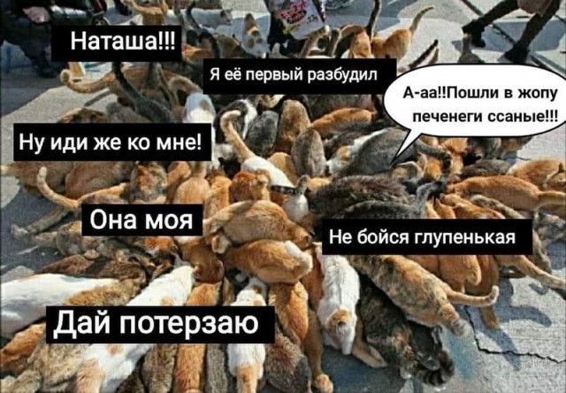 Мемы про Наташу