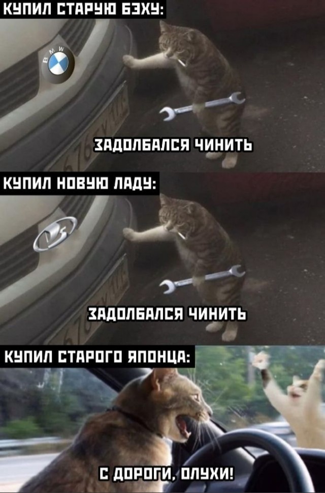 Картинки разные 24.12.20