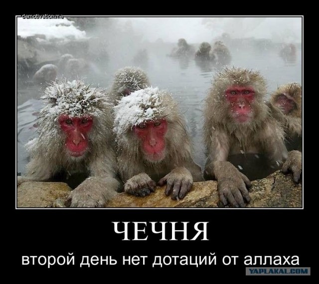 Правила обгона
