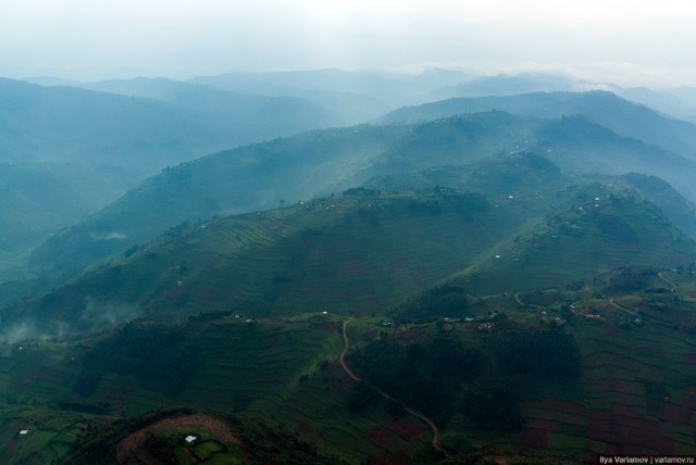 Уганда: самая настоящая Африка с гориллами и носорогами!