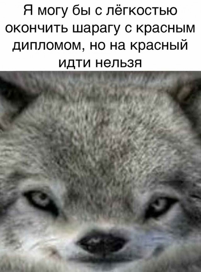 Опять 25, но не 25