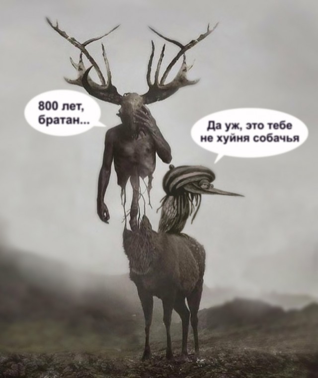 В Нижнем Новгороде представили талисманы празднования 800-летия города