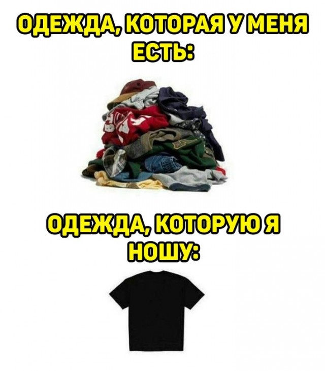 Весёлый полтишок 15.06.