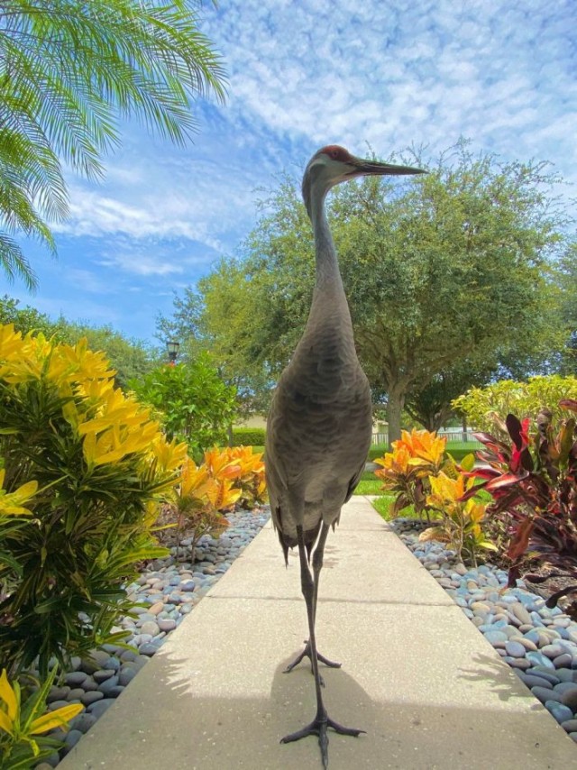 Картинки и мемы для настроения 05.08.2021