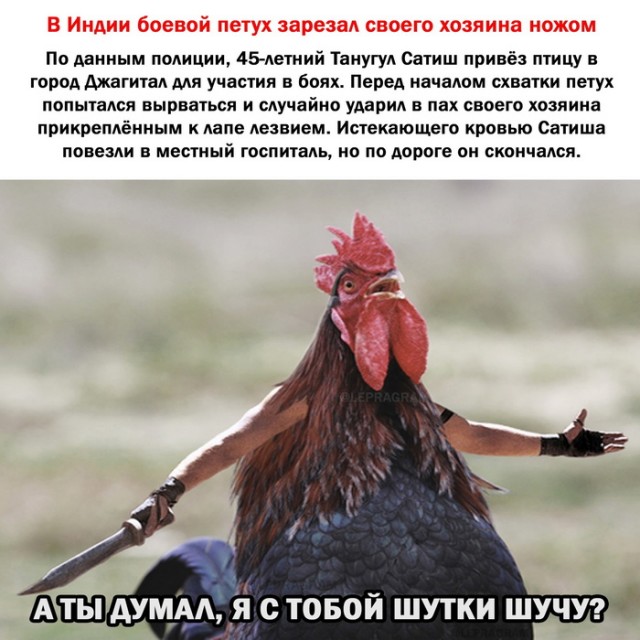 Кретинизмы из сети 19.08.2021