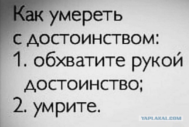 Весёлый полтишок 07.11